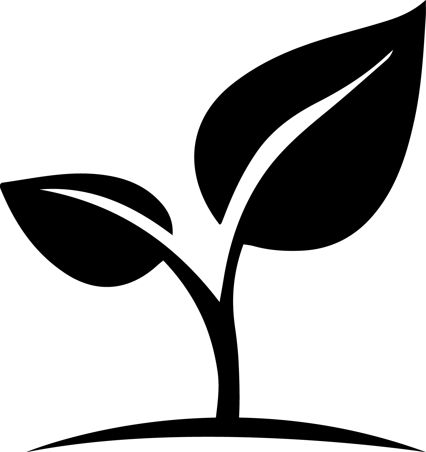 logo without text transparent